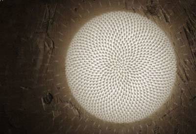 FOC推出全新科技照明与通信融合产品系列